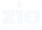 Bad Schallerbach, Wels & Linz